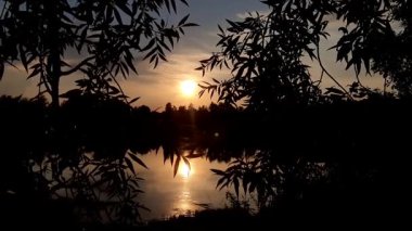 Altın güneş, Regensburg yakınlarındaki sakin göl suyuna yansıyan orman siluetlerinin ardında batıyor.