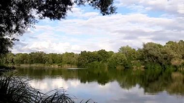 Bahar gölü manzarası, Regensburg Almanya yakınlarındaki sakin sulara mükemmel yansıyan ağaçları gösteriyor.