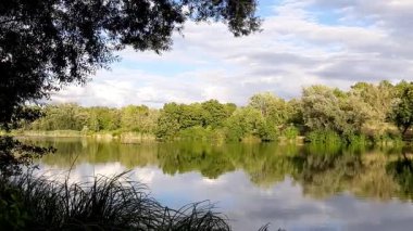 Bahar gölü manzarası, Regensburg Almanya yakınlarındaki sakin sulara mükemmel yansıyan ağaçları gösteriyor.
