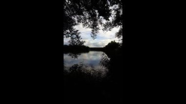 Altın güneş, Regensburg yakınlarındaki sakin göl suyuna yansıyan orman siluetlerinin ardında batıyor.