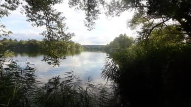 Bahar gölü manzarası, Regensburg Almanya yakınlarındaki sakin sulara mükemmel yansıyan ağaçları gösteriyor.