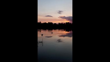 Altın güneş, Regensburg yakınlarındaki sakin göl suyuna yansıyan orman siluetlerinin ardında batıyor.