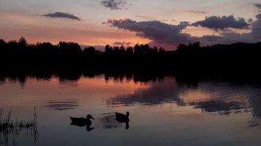 Altın güneş, Regensburg yakınlarındaki sakin göl suyuna yansıyan orman siluetlerinin ardında batıyor.