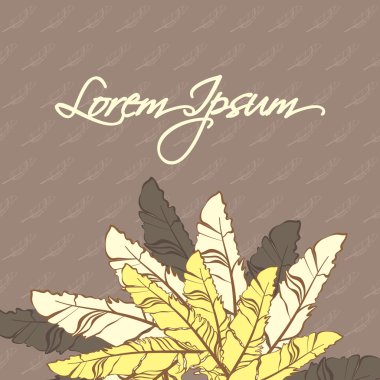 Feathers_500_1-08 kartı tüyler kompozisyonu ile