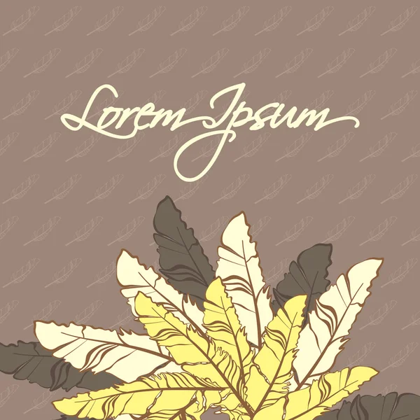 Feathers_500_1-08 kartı tüyler kompozisyonu ile