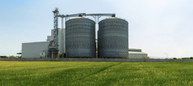Tarım Siloları - Dış yapı, depolama ve tahıl, buğday, mısır, soya, ayçiçeği, pirinç tarlalı mavi gökyüzüne karşı kurutma.