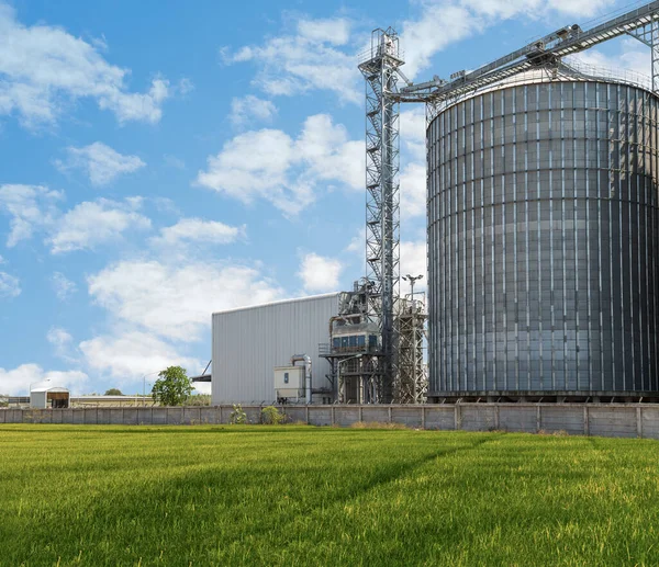 Agricultural Silos - Building Exterior, Storage and drying of grains, wheat, corn, soy, sunflower against the blue sky.