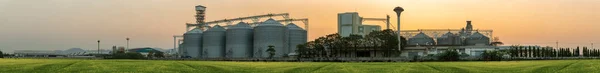 Jordbruk Drönare Flyger Gröna Risfälten Med Agricultural Silos Bakgrunden — Stockfoto