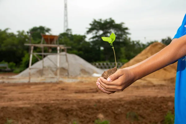 Ett Barn Med Ett Träd Planterat Handen Träplantor Och Jord — Stockfoto