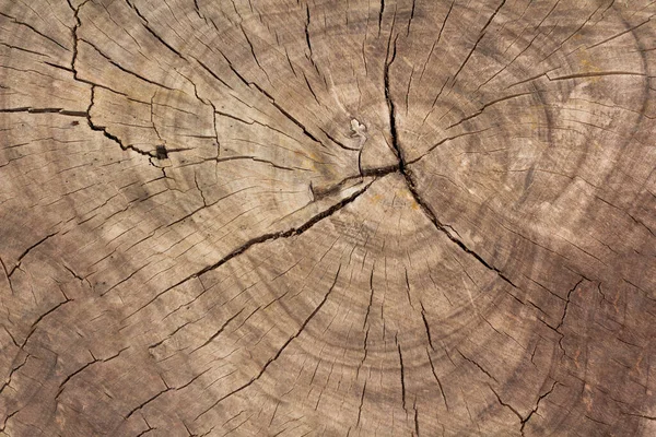 Kesilen tahta yüzeyde siyah ve beyaz çatlaklar var..