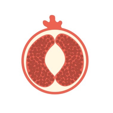 Bölgesel nar, izole bir zemin üzerinde doğal olgun meyve. Meyve. Vektör illüstrasyonu.