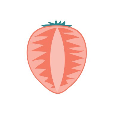 Kesilmiş çilek, izole bir arka planda doğal olgun meyve. Meyve. Vektör illüstrasyonu.