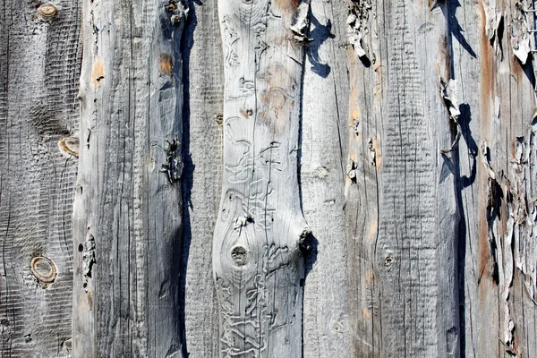 자연 나무 캔버스의 배경. — 스톡 사진