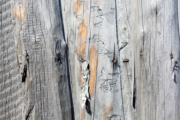 Hintergrund aus natürlichem Holz Leinwand. — Stockfoto