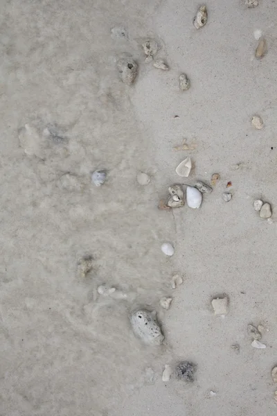 Θάλασσα άμμο με πέτρες και κοχύλια. Φωτογραφία. — Φωτογραφία Αρχείου