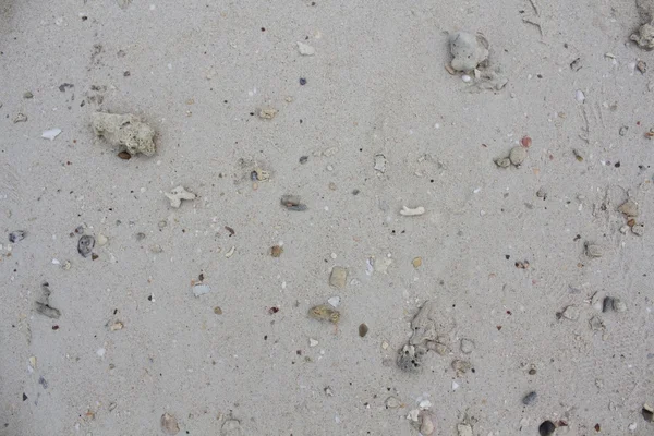 Sea sand with stones and shells. Photo. — Stock Photo, Image