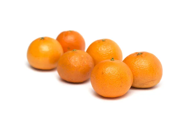 Mandariner. Foto. — Stockfoto