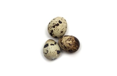 Bıldırcın yumurta. Fotoğraf.