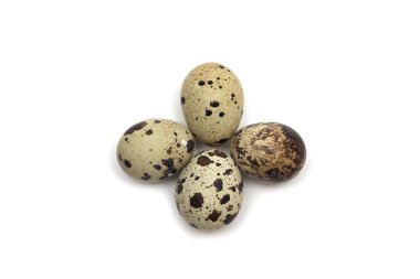 Bıldırcın yumurta. Fotoğraf.