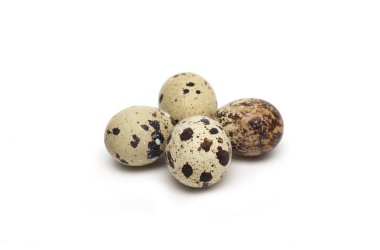 Bıldırcın yumurta. Fotoğraf.
