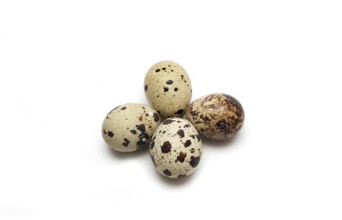 Bıldırcın yumurta. Fotoğraf.