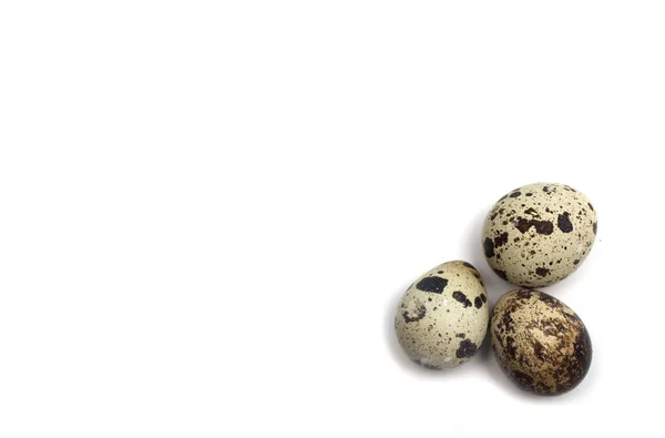 메 추 라 기 계란입니다. 사진. — 스톡 사진