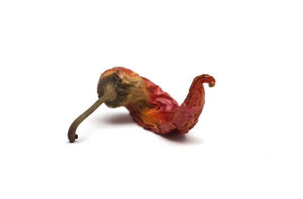 Torkad röd paprika. Foto. — Stockfoto