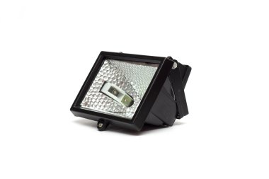 Lamba, bir fotoğrafçı. Fotoğraf.