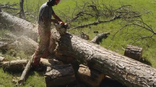 Professional Chainsaw Operator Cutting Pine Tree Slow Motion Cut Resistant — Stock Video