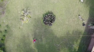 Ağaç üzerinde çalışan bir ağaç ustası ve yerde güvenlik önlemleriyle çalışan işçiler ile yükseklikte kesilip budamak. Halatlar, makaralar, emniyet kemerleri, kask, kesim önleyici botlar ve eldivenler kullanılıyor.
