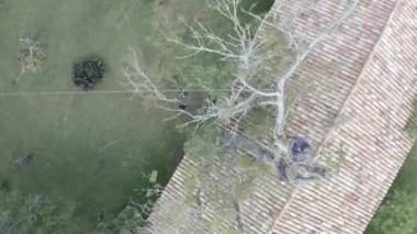 Ağaç üzerinde çalışan bir ağaç ustası ve yerde güvenlik önlemleriyle çalışan işçiler ile yükseklikte kesilip budamak. Halatlar, makaralar, emniyet kemerleri, kask, kesim önleyici botlar ve eldivenler kullanılıyor.