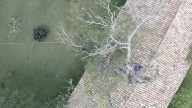 Ağaç üzerinde çalışan bir ağaç ustası ve yerde güvenlik önlemleriyle çalışan işçilerle yükseklikte kesilip budamak. Halatlar, makaralar, koşum takımı, kask, kesik botlar ve eldivenler kullanılıyor. 25