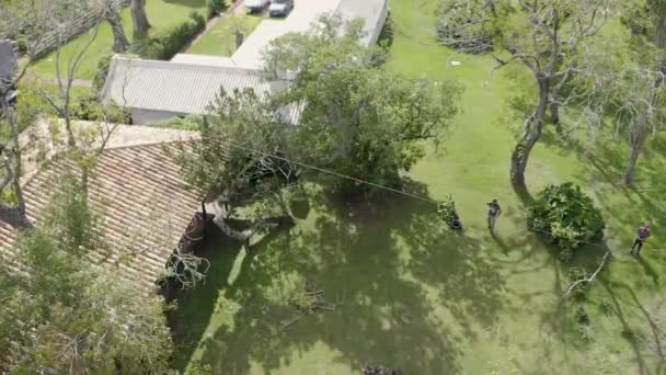 Ağaç Üzerinde Çalışan Bir Ağaç Ustası Yerde Güvenlik Önlemleriyle Çalışan — Stok video