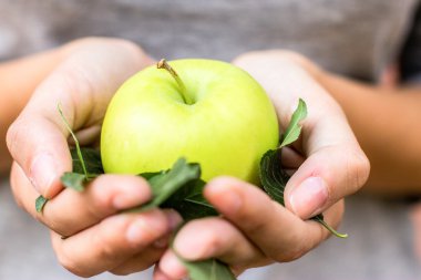 Ellerinde yaprakları ile yeşil elma.