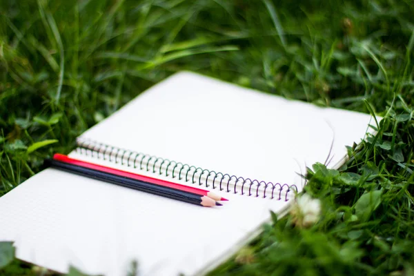 A notebook a fűben, fekete és piros ceruza — Stock Fotó