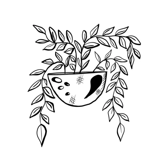 Black and white hand drawn illustration . Indoor plants in pots.