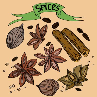 Elle çizilmiş vektör set baharat.