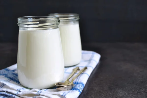 Zelfgemaakte gefermenteerde yoghurt op een witte achtergrond met ruimte voor t — Stockfoto