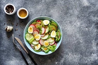 Sebzeli, turplu, yumurtalı ve salatalı taze salata. Beton arka planda mavi bir tabakta..