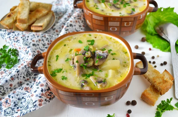 Mantarlı peynir çorbası