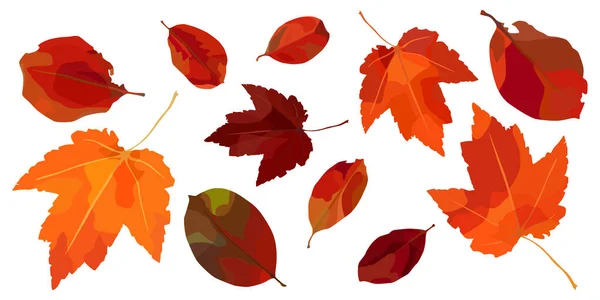 Vektorové sada podzimní listí — Stockový vektor