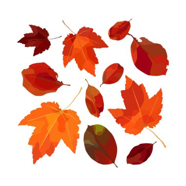 sonbahar yaprakları vektör kümesi