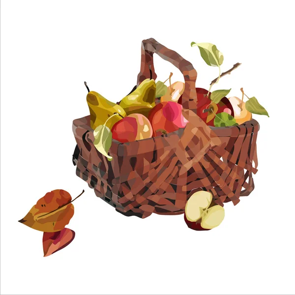 Vector Basket Ripe Apples Autumn Design Crops Fruits Agriculture — Stock Vector