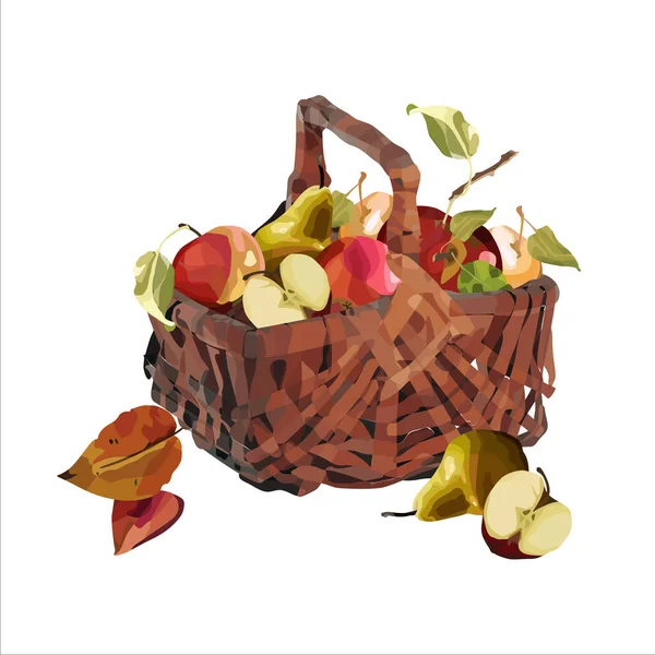 Vector basket of ripe apples and pears — Stock Vector