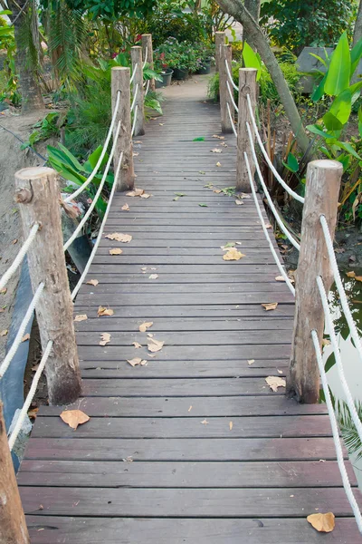 Puente de madera de la selva cuerda Fotos de stock