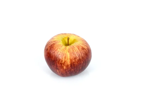 Gala μήλο — Φωτογραφία Αρχείου