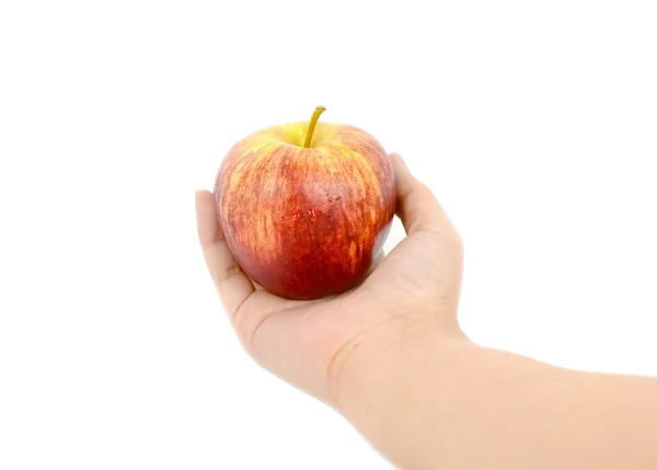 Gaala omena kädessä — kuvapankkivalokuva
