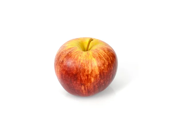 Gala de manzana — Foto de Stock