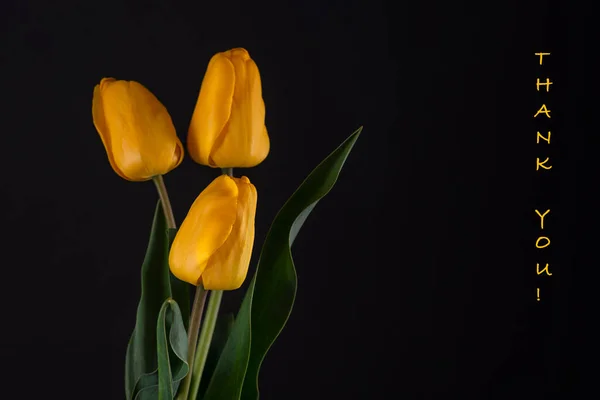 Tulipanes Amarillos Con Las Palabras Gracias Sobre Fondo Oscuro Invitación —  Fotos de Stock