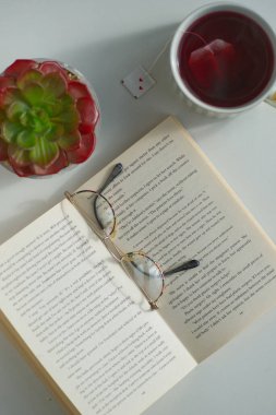 Okuma gözlüklü, üst görüşlü, İngilizce bir kitap. Yakınlarda bir fincan çay ve kaktüs standı var. Emeklilerin boş vakitleri.